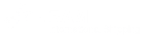 RAM International Shipping LLC